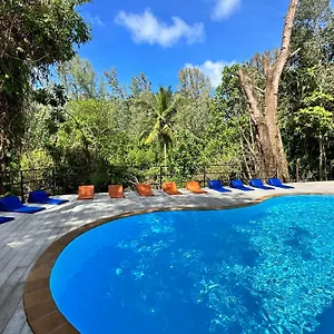 book here